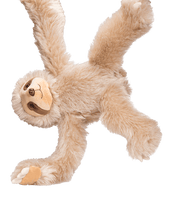 
              Speedy Sloth Dinosaur Outfit Gift Set | Bear World.
            