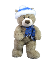 
              Toboggan the Bear | Bear World.
            