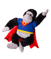 
              8" A bear I Can Hero Tee W/Cape | Bear World.
            