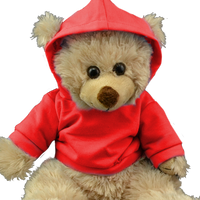 Red Hoodie | Bear World.