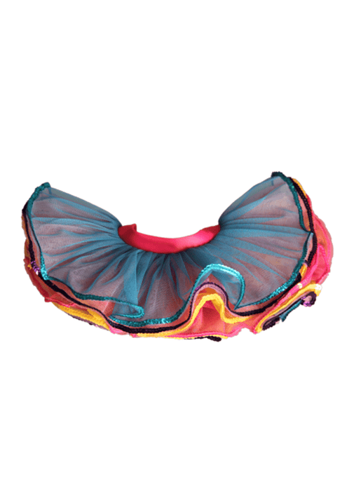 Multi Coloured Tutu Skirt | Bear World.