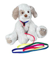 
              Rainbow Collar & Leash | Bear World.
            