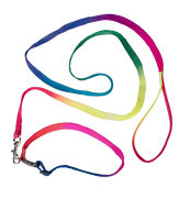 
              Rainbow Collar & Leash | Bear World.
            