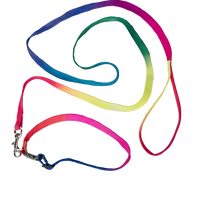 Rainbow Collar & Leash | Bear World.