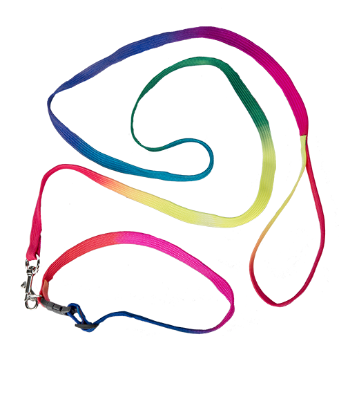 Rainbow Collar & Leash | Bear World.