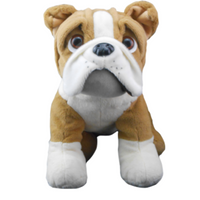 
              DIY Home Party Packages & T-Shirts Pre-Selected | Bear World.
            