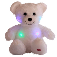 
              DIY Princess Party Package & Outfits Pre-Selected | Bear World.
            