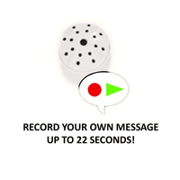Recording Device Module | Bear World.