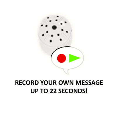 Recording Device Module | Bear World.