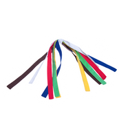 
              Karate W/ 5 Coloured Belts | Bear World.
            