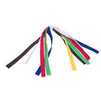Karate W/ 5 Coloured Belts | Bear World.